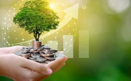 معلومات الوزراء: مصر تستهدف زيادة نسبة الاستثمارات الخضراء لـ75% بحلول 2030