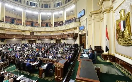 ؤ أمام النواب: مشروع قانون الإجراءات الجنائية ثورة تشريعية