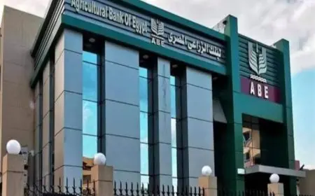 البنك الزراعي يضخ 25.6 مليار جنيه لتمويل إنتاج المحاصيل الزراعية في 9 أشهر