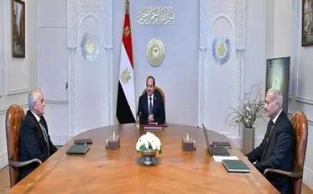 السيسي يوجه بعلاج المدنيين من أسر ضحايا ومصابي الحوادث الإرهابية غير الخاضعين للتأمين الصحي مجانا