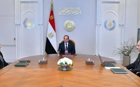 الرئيس السيسي يوجه بتقديم الخدمة العلاجية بالمجان للمستفيدين من صندوق تكريم الشهداء