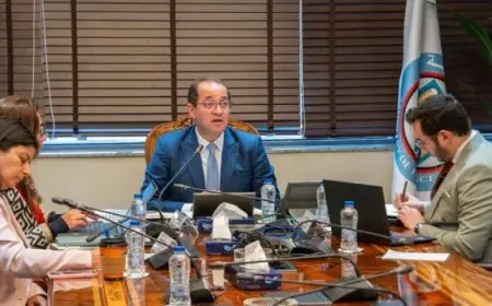 وزير المالية: تحقيق فائض أولي قوي بقيمة ٩٠ مليار جنيه خلال الربع الأول من العام المالي