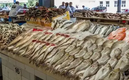 أسعار السمك والمأكولات البحرية اليوم الاثنين في سوق العبور