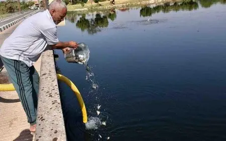 إلقاء سمك ذريعة فى نهر النيل بمحافظة المنيا