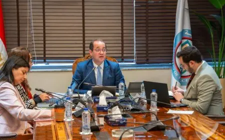 المالية: الدين الخارجي في مسار نزولي من خلال استراتيجية متكاملة