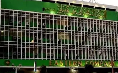 أسهم بنصف مليار جنيه.. كواليس صفقة كبرى لإعادة هيكلة الشرقية للدخان