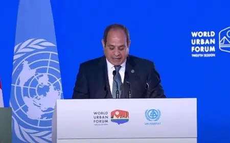 الرئيس السيسي: حققنا إنجازات كبيرة رغم ما يحيط بنا من أزمات