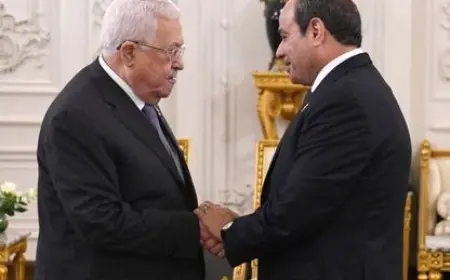 الرئيس السيسي يستقبل نظيره الفلسطيني.. ويؤكد دعم مصر للسلطة الفلسطينية