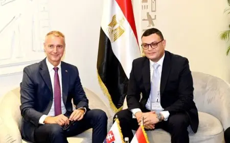وزير الإسكان يعرض على وزير الاستثمار السلوفاكي الفرص المتاحة بمدن الجيل الرابع