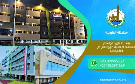 محافظة القليوبية: يوم دراسي طبيعي غدًا