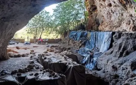 اكتشاف أعشاب عمرها 15 ألف سنة بمغارة في المغرب