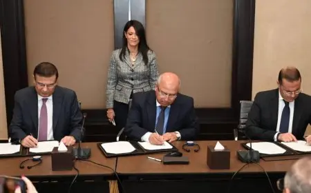 توقيع وثيقة مشروع القطن المصري بين وزارتي الصناعة والزراعة ومنظمة اليونيدو