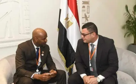 مصر تسعى لتفعيل عضويتها في مؤسسة Shelter AFRIQUE لتمويل الإسكان الميسر