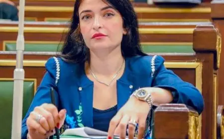النائبة إيرين سعيد: قانون الإجراءات الجنائية يتوج عملنا في مجلس النواب