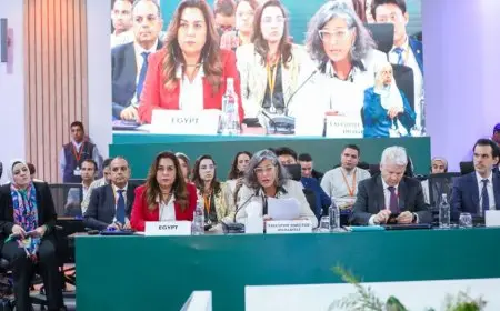 وزيرة التنمية المحلية: القيادة السياسية تحرص على تحقيق أهداف التنمية المستدامة