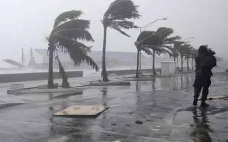 الأرصاد عن طقس الأيام المقبلة: أجواء شتوية تبدأ بالبرودة وتصل للأمطار والرياح