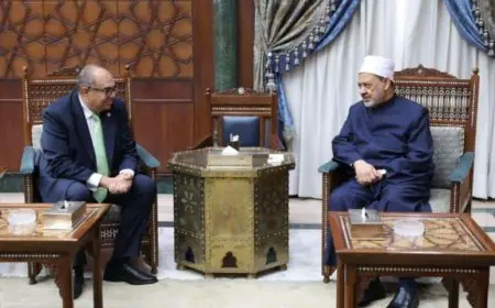 شيخ الأزهر يستقبل الدكتور محمود محيي الدين مبعوث الأمين العام للأمم المتحدة لتمويل التنمية