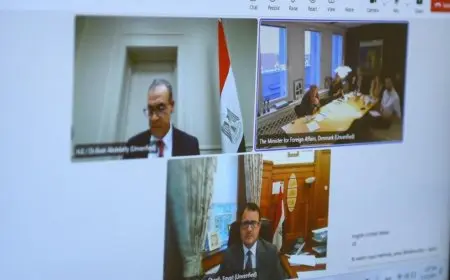 وزير الخارجية يعقد اجتماعا افتراضيا مع نظيره الدانماركي