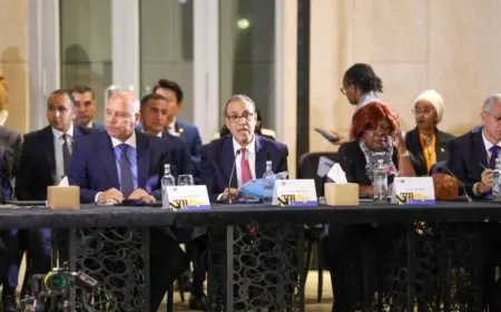 وزير الخارجية والهجرة يشارك في افتتاح المائدة المستديرة لوزراء الإسكان الأفارقة على هامش المنتدى الحضري العالمي