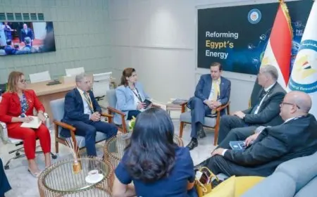 وزير البترول يبحث مع نائب رئيس شركة شل سرعة بدء الإنتاج في آبار جديدة بمناطق غرب المتوسط