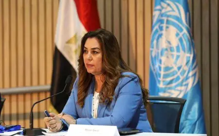 وزيرة التنمية المحلية تستعرض جهود مصر في توطين أهداف التنمية الحضرية المستدامة