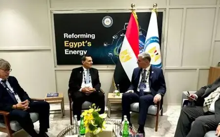 وزير البترول ييبحث مع “إنرجين” العالمية أعمالها في مصر بمنطقة البحر المتوسط