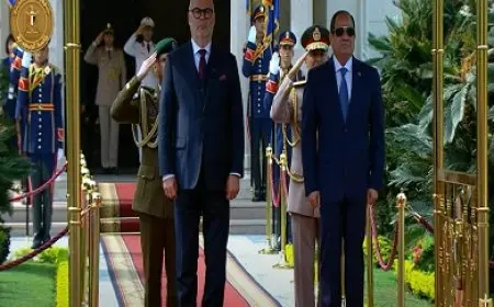 بث مباشر.. الرئيس السيسي يستقبل نظيره الإستوني بقصر الاتحادية