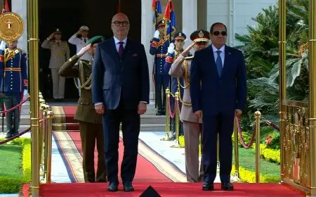 الرئيس السيسي يستقبل رئيس إستونيا في قصر الاتحادية