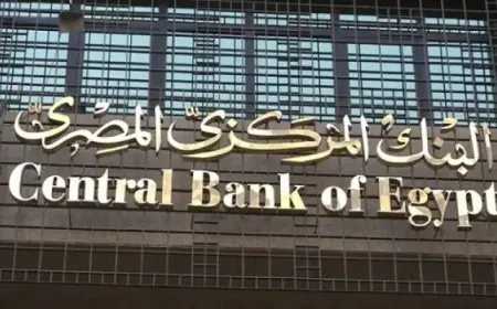 البنك المركزي : ارتفاع الاحتياطى الأجنبى لـ46.94 مليار دولار نهاية أكتوبر