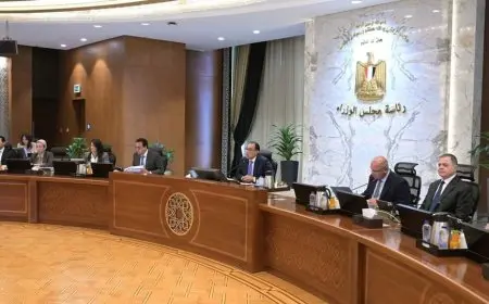 مجلس الوزراء يوافق على قانون العمل الجديد.. تعرف على قرارت الحكومة اليوم