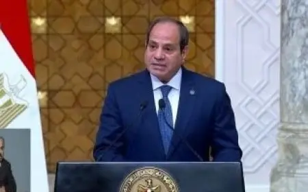 الرئيس السيسي: التصعيد الإسرائيلي في غزة ولبنان غير مبرر