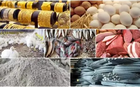 خريطة الأسعار اليوم: انخفاض البيض والدواجن والحديد وارتفاع الذهب