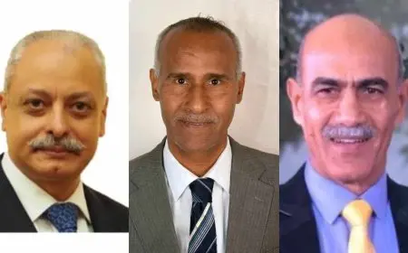 اليابان تكرم 3 شخصيات مصرية تقديراً لجهودهم في تعزيز العلاقات.. تعرف عليهم