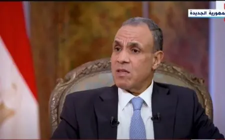 وزير الخارجية: قدمنا أفكارا لوقف إطلاق النار بغزة لكنها فشلت على صخرة الرفض الإسرائيلي