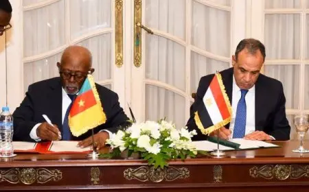 انعقاد اللجنة المصرية-الكاميرونية المشتركة في القاهرة لتعزيز التعاون الثنائي