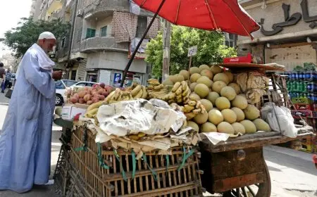 مصطفى بدرة: مفيش تعويم ولا زيادة في الأسعار خلال الفترة المقبلة