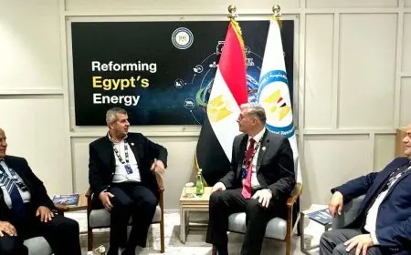 مباحثات مصرية أردنية لدعم وزيادة التعاون المشترك في مجالات البترول والغاز والثروة المعدنية