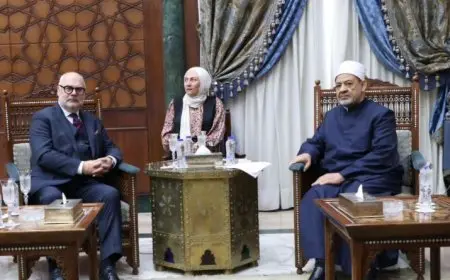 شيخ الأزهر: السلام أصبح حلمًا مفقودا.. ما يحدث في غزة لا يمكن تخيله ولا وصفه