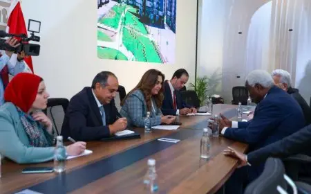 وزيرة التنمية المحلية: الدولة المصرية تعطي اهتماما كبيرا لتحسين جودة حياة المواطنين