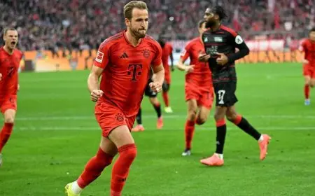 كين يقود هجوم بايرن ميونيخ أمام بنفيكا بدوري أبطال أوروبا