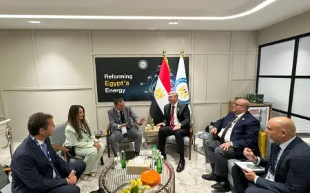 وزير البترول يبحث مع رئيس شنايدر إليكتريك سبل تعزيز التعاون في مجالات التحول الرقمي بصناعة البترول والغاز