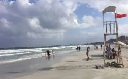 نوة غسيل البلح.. الإسكندرية تستعد لظاهرة جوية مؤثرة