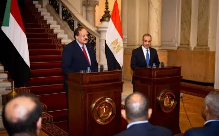 وزير الخارجية: مصر تحترم السيادة السودانية ووحدة وسلامة أراضيه