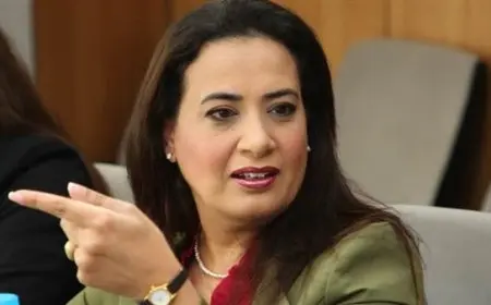 النائبة راجية الفقي: تمكين المرأة هو أساس المجتمع