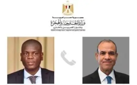 وزير الخارجية يبحث مع نظيره الجنوبى أفريقى تعزيز العلاقات