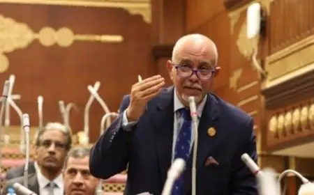 النائب حازم الجندي: وعي المصريين ووحدتهم له دور كبير في فضح مخططات الجماعة الإرهابية
