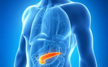 هل تكيسات البنكرياس خطيرة؟.. حسام موافي يوضح الأعراض والعلاج| فيديو