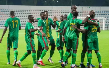 الكشف عن قائمة موريتانيا لمباراتي بوتسوانا والرأس الأخضر