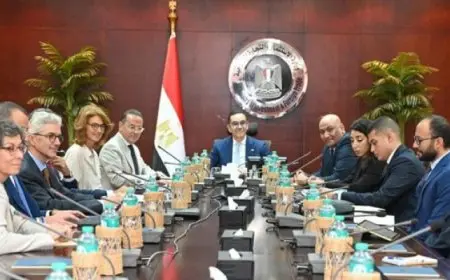 وزير الاستثمار يستعرض مع وفد اليونيدو مشروعات المنظمة في مصر