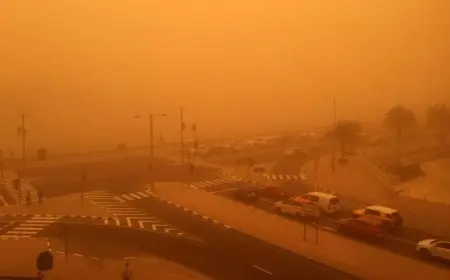 الجو هيقلب 180 درجة.. الأرصاد تحذر المواطنين من طقس اليوم وتحدد أماكن سقوط الأمطار